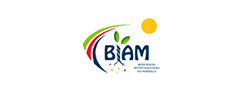 Logo adherent CEA - BIAM (INSTITUT DE BIOSCIENCES ET BIOTECHNOLOGIES D'AIX- MARSEILLE)
