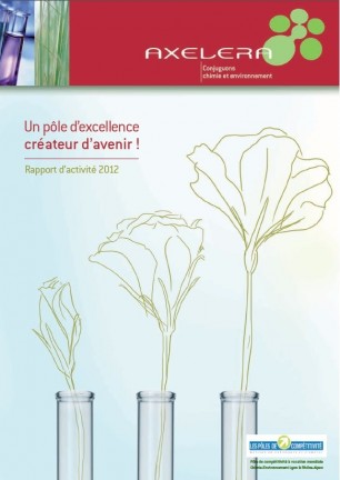 Rapport d'Activité 2012