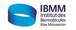 Logo adherentINSTITUT DES BIOMOLÉCULES MAX MOUSSERON (IBMM)