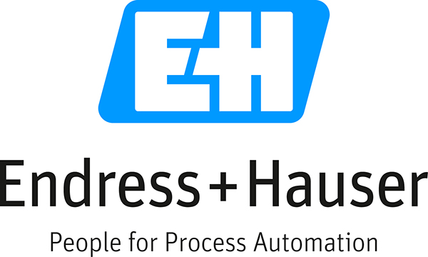 Logo adherent ENDRESS+ HAUSER FRANCE