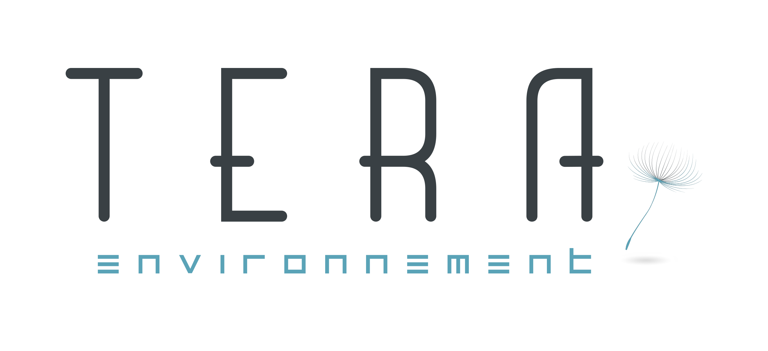 Logo adherentGROUPE TERA